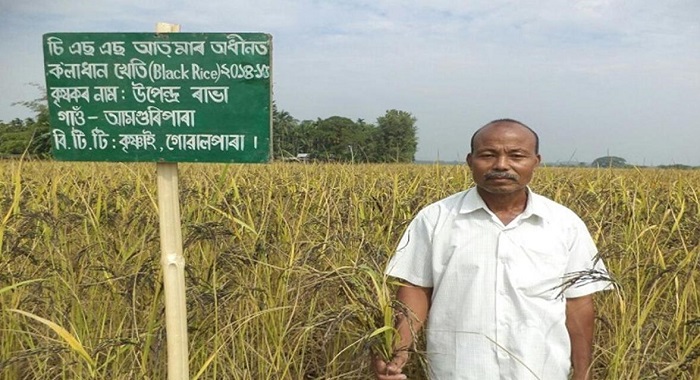 কেনেকৈ স্বীকৃতি পালে উপেন্দ্ৰ ৰাইচে