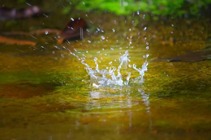 IMG-20170609-WA0031