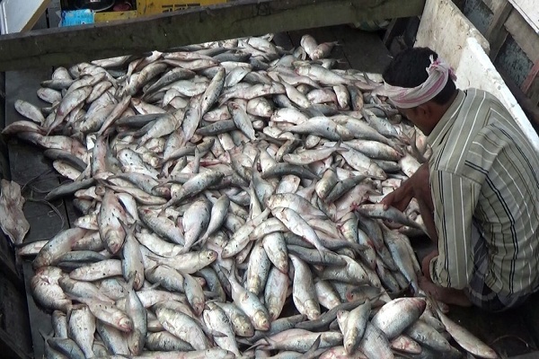 WhatsApp Image 2017-10-11 at 5.42.24 PM