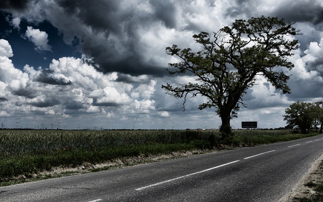 cloudy-field-2