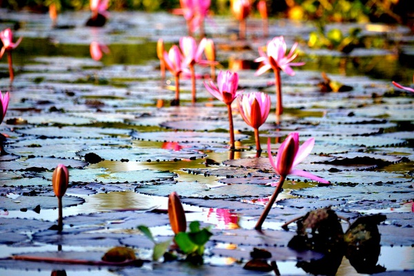 WhatsApp Image 2018-01-06 at 10.40.56 PM