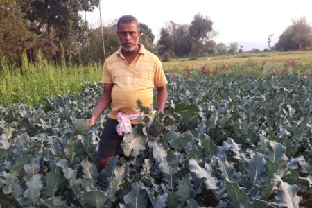 কৃষি কৰ্মৰে উজলি উঠিছে পশ্চিম গুৱাহাটীৰ খানামুখৰ কেবাজনো উদীয়মান যুৱক