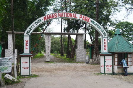Elephant Safari and Rafting at Manas National Park to be closed from May 1