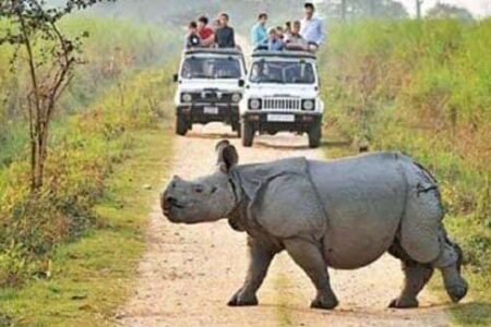 বানপানীৰ পৰা জীৱ জন্তুক ৰক্ষা কৰিবলৈ প্ৰায় ৪০ টা হাইলেণ্ড নিৰ্মাণ