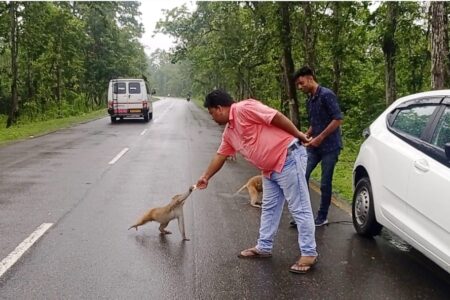 নামেৰি ৰাষ্ট্ৰীয় উদ্যানৰ কঁপিকুলক খাদ্য যোগান ধৰি মহানুভাৱতাৰ পৰিচয় দিয়ে জামুগুৰিহাটৰ দুজন যুৱ সাংবাদিকৰ লগতে এজন কন্ঠশিল্পীয়ে