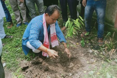 উপৰহালীৰ গুৱাহাটী মহকুমা বজাৰ সমিতিৰ কাৰ্যালয় প্ৰাঙ্গণত গছপুলি ৰোপণ