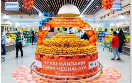 Pineapples for Prosperity Meghalayan pineapple growers tapping domestic and international markets