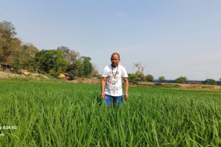 সপোন যেন লগা বৰষুণে পশ্চিম গুৱাহাটীৰ কৃষকৰ মুখলৈ আনিছে হাঁহি -বৰো ধানৰ খেতি কৰা কৃষকলৈ সকাহ